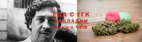 индика Гусев