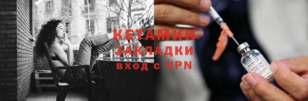индика Гусев