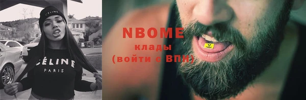 индика Гусев