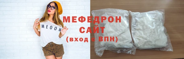 индика Гусев