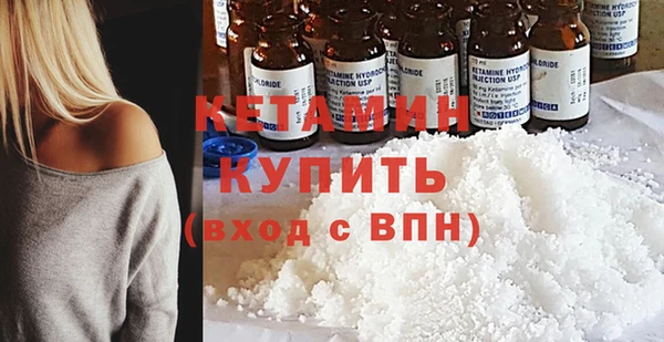 индика Гусев
