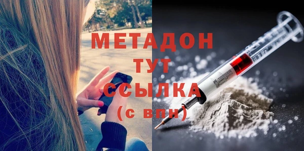 сатива Вяземский