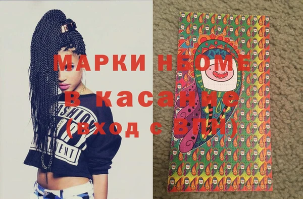 сатива Вяземский