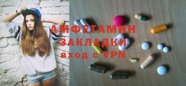 индика Гусев