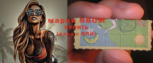 сатива Вяземский