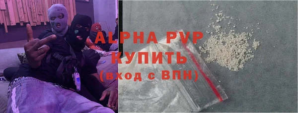 индика Гусев