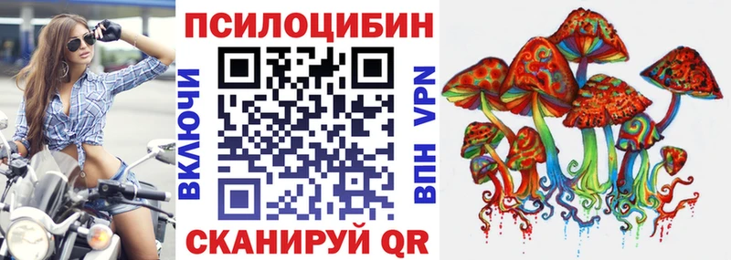 Псилоцибиновые грибы Cubensis Донской